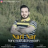 Farid Lotfollahzadeh