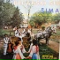 Sima Jovanovic - Sima