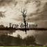 Urze de Lume