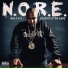 N.O.R.E. (aka P.A.P.I.) feat. Mayday, Tech 9