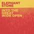 Elephant Stone