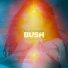 Bush