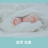 大 自然 的 聲音