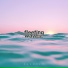 fleeting waves.