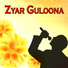 Niaz Wali Momand
