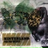Hinterland