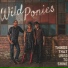Wild Ponies