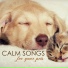 Pet Care Music Therapy