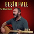 Beşir Pale