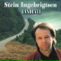 Stein Ingebrigtsen