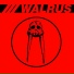 Walrus
