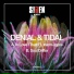 Denial, Tidal