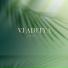 VJ Aditya