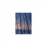 Mindfulness Healing Bgm Project