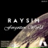 RAYSIM