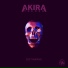 Akira The Don