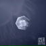 Anais Drago & The Jellyfish