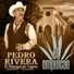 Pedro Rivera