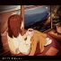 Mosawo