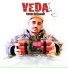 Veda TLM