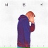 Steeshok