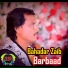 Bahadar Zaib