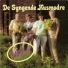 De Syngende Husmødre