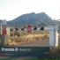 Franzis-D