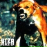Viza feat. Lera & Ladan