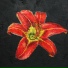 Tin Star Orphans