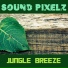 Sound Pixelz