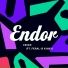 Endor feat. FERAL is KINKY