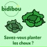 Bidibou