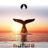 Nature's Harmony