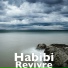 Habibi
