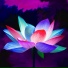 Lotus State