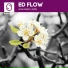 Ed Flow