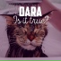 Nicoleta Dara (www.primemusic.ru)