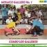 Combo Los Galleros feat. Toño Sinisterra