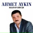Ahmet Aykın