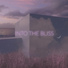 Into the Bliss