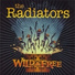 The Radiators