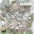 Barishi