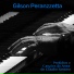 Gilson Peranzzetta