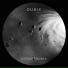 Dubix