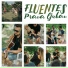 Fluentes