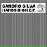 Sandro Silva