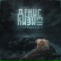 Денис Кизим
