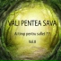 Vali Pentea Sava