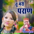 Chandan Fulara